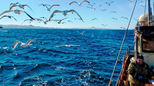 Звезда рыбака