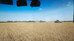 8 июля, начало уборки