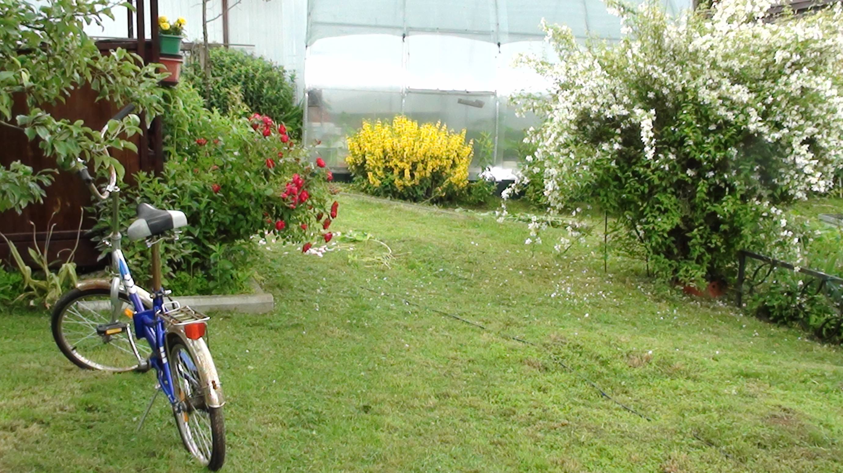 Приехал домой из Орла// Погода не балует, но все хорошо// Обзор по участку смотреть онлайн