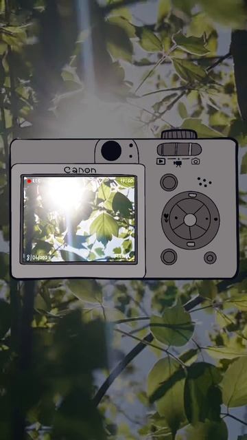 VID_20250712_155035_501.mp4