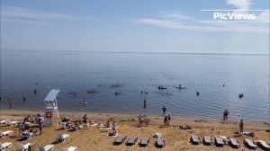 Пляж Камское море в Лаишево сегодня 12 июля 2025. Республика Татарстан. Погода в Лаишево сейчас