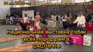 Выставка собак. Национальная выставка собак всех пород ранга САС/ЧРКФ, комсомольское лето 2025.