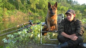 Сом и летучая мышь. Ночной улов на лесной реке!