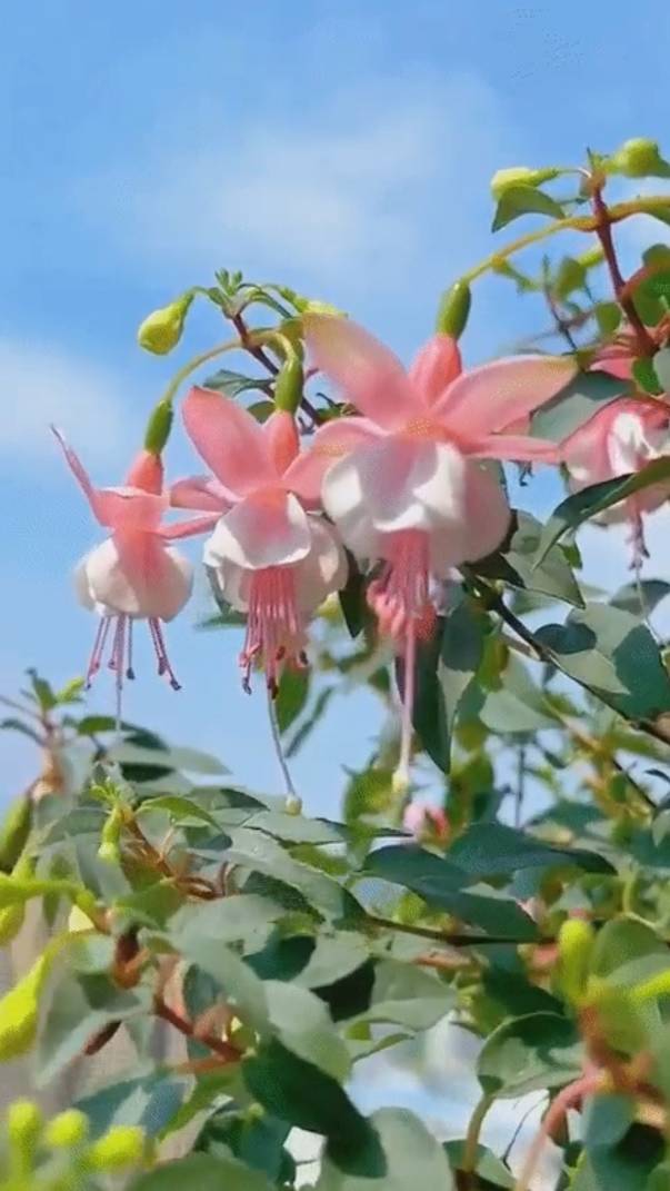 Каждый день ... смотреть онлайн