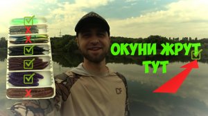 Как ПОЙМАТЬ ОКУНЯ ЛЕТОМ. ГДЕ НАЙТИ ОКУНЯ в ЖАРУ!