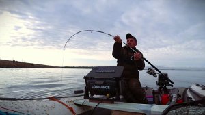 Сазаны! Сомы! Бешеный клёв после шторма! Рыбалка на донки и квок