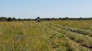 начало сенокоса !сезон 2025!мтз 80 и косилка виракс 1.65!