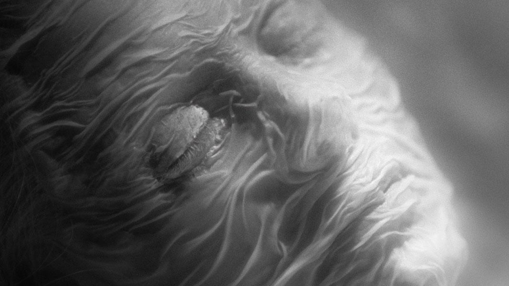 Иное (2024) / Else смотреть онлайн