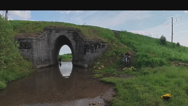 Зеленый город + DH смотреть онлайн