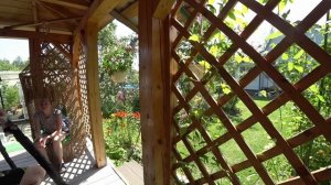 Жара жарой, а в магазин надо. Смешной Борис 🤣