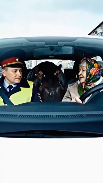 😉🌩️😉👍😉🙀😢☹️👍 смотреть онлайн