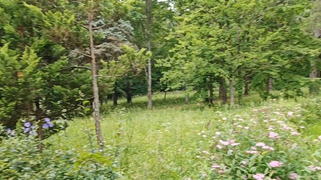 Глубокский дендрологический сад часть 2