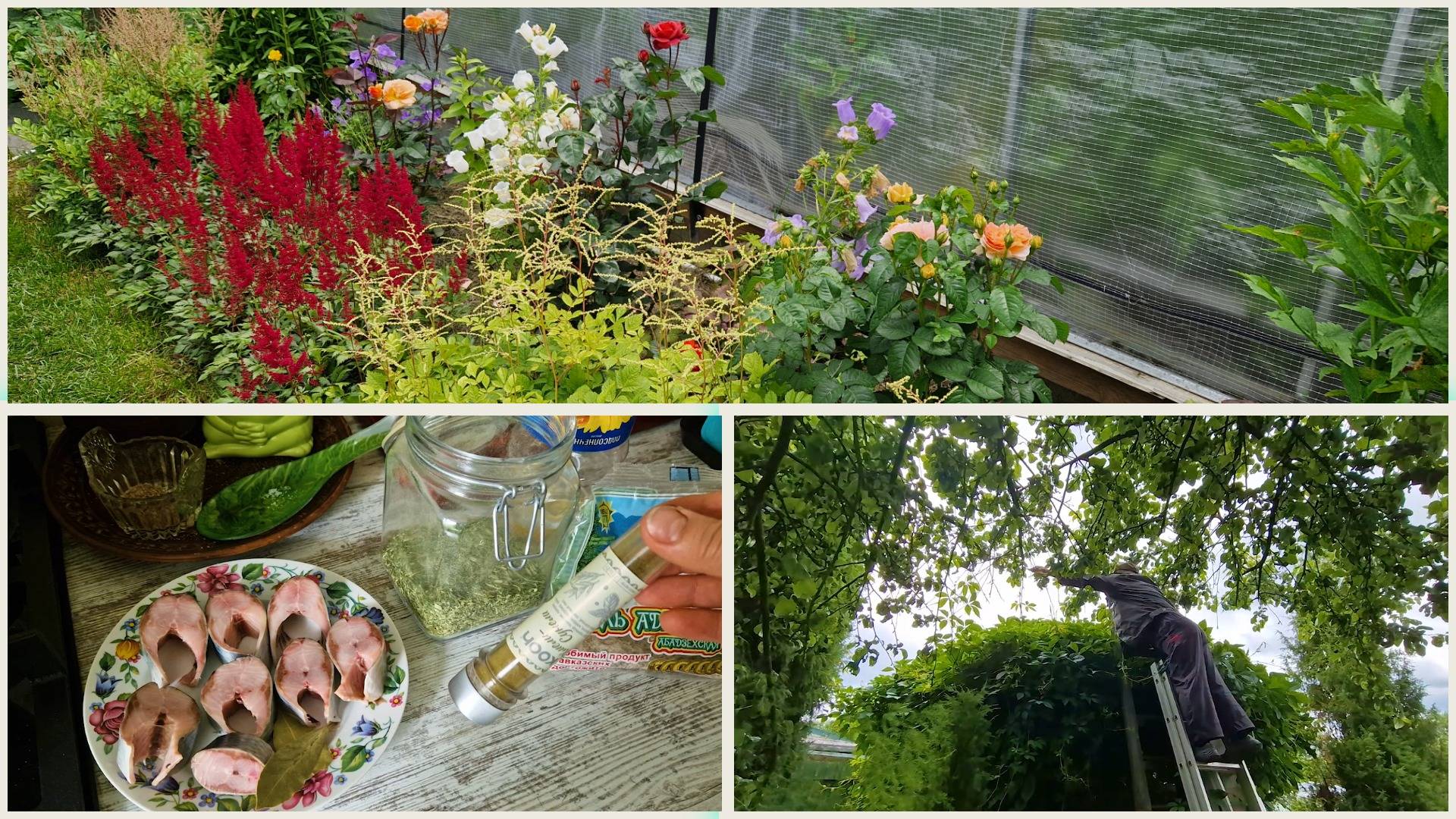 Закупились овощами,рыбой и мясом. Суп из свежей сельди. Наводим порядок у дома на участке. смотреть онлайн