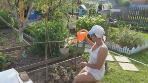 6 соток 8 июля 2025 года. 2 часть. декор