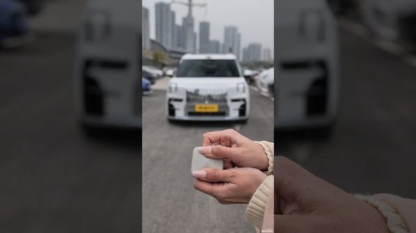 Инструкция Zeekr 009