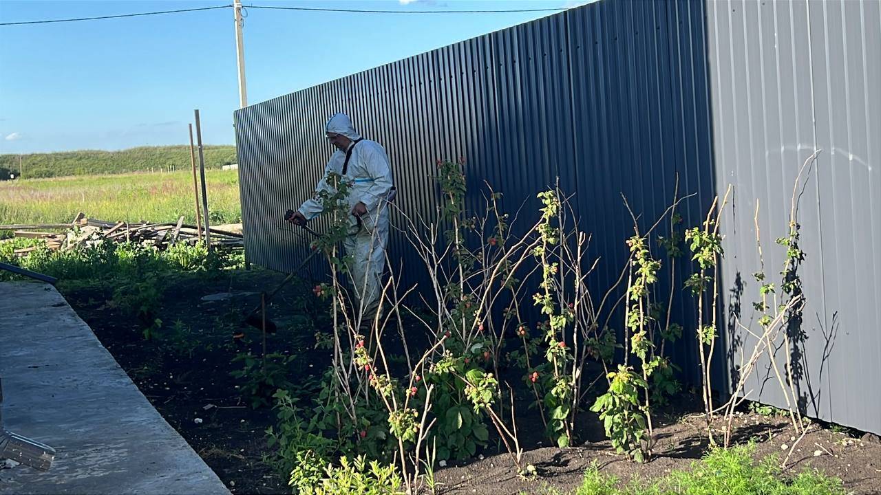 Покос травы триммером смотреть онлайн