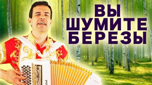 Вы шумите березы (А я лягу прилягу) под баян - поет Вячеслав Абросимов