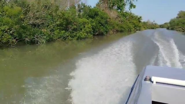 Путь через Ахтанизовский залив к лотосам у станицы Голубицкая смотреть онлайн