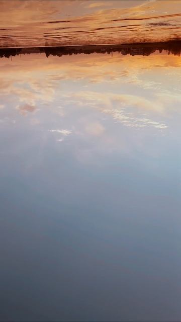 Плаваем на сапах #сапы #лето #веморт #wemort смотреть онлайн