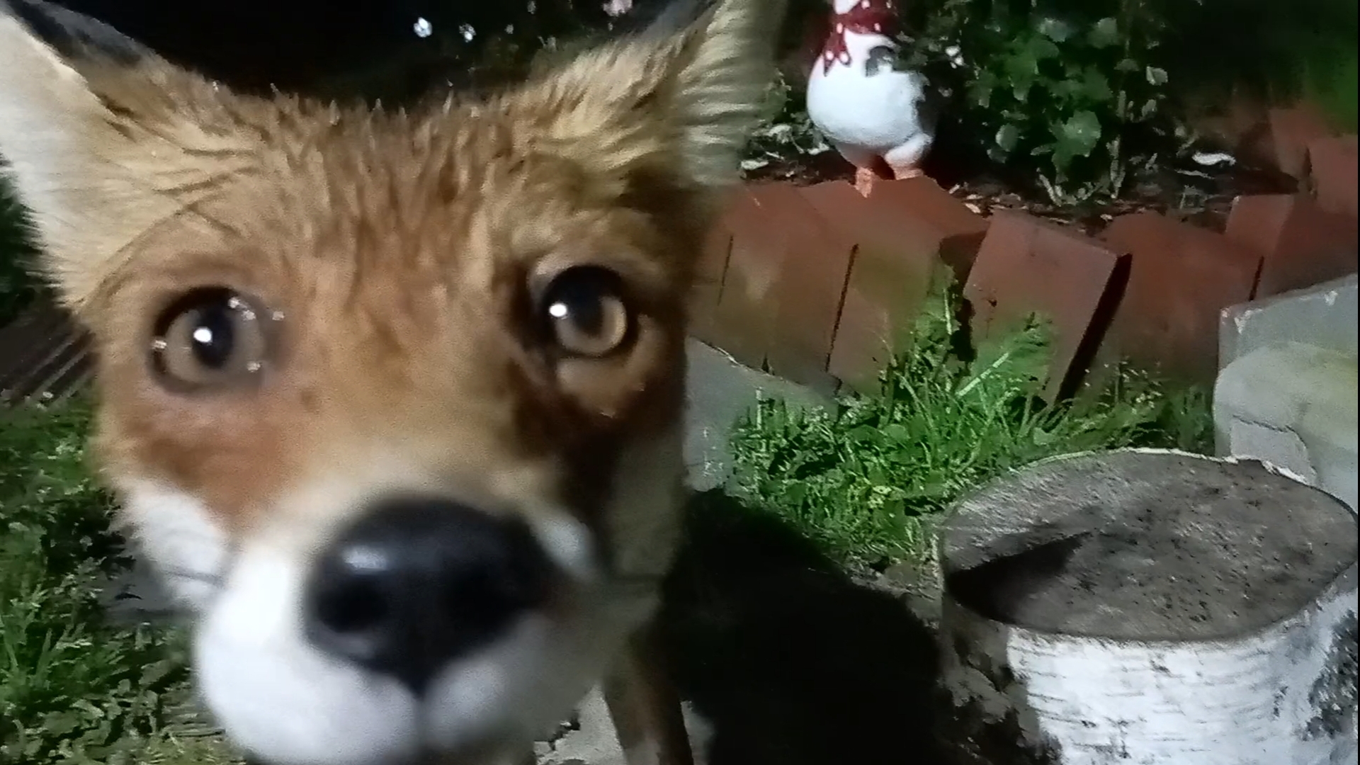 Лёгкая охота смотреть онлайн