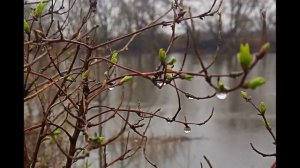 Иеромонах Роман, монах Афанасий (Кокорев). «Придёт пора, и поведут на Суд…»