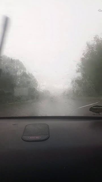 3 дня жизни...