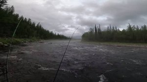 Рыбалка на реке Северная. Ловля хариуса на спиннинг. Часть первая.