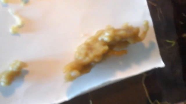 ВАЛЕВО /начало