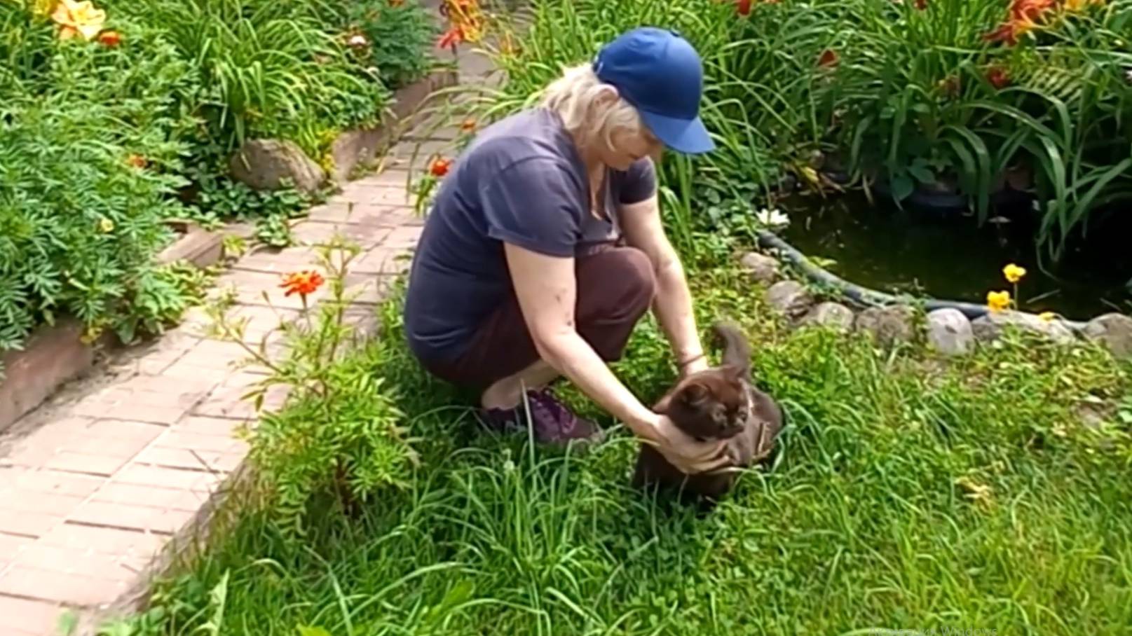 Как кошка британка оказалась в старинном финском Тярлево, известном своей историей с 1797 года. смотреть онлайн