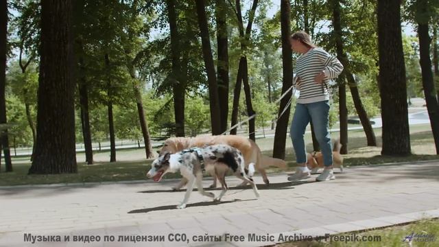 Мелодия, которая звучит как поцелуй под звёздами... - Play For Your People (music Hall Singalong) --