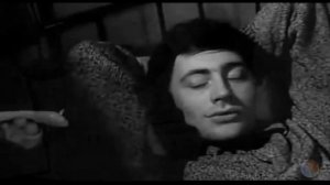 Восточная песня.mp4