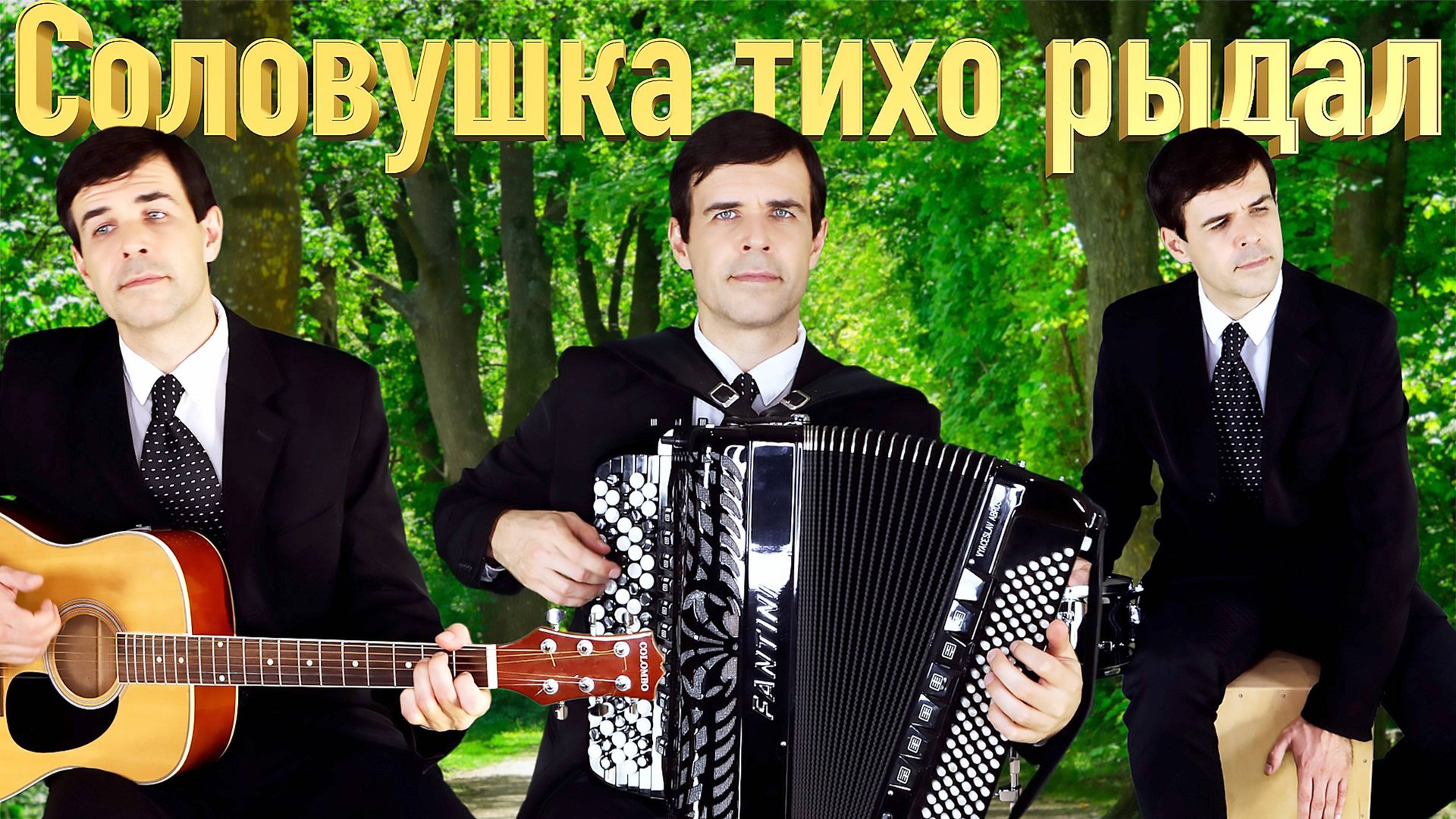 НЕВОЗМОЖНО СДЕРЖАТЬ СЛЕЗ - Соловушка тихо рыдал (дворовая песня)