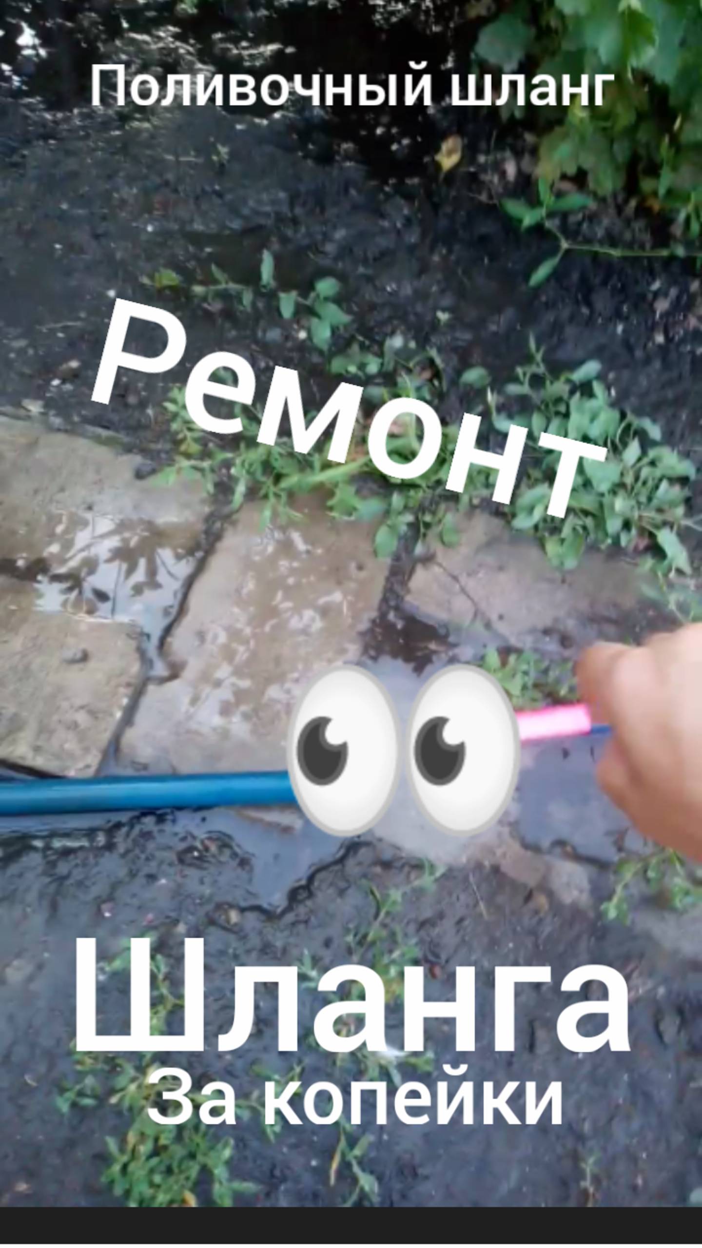 Как отремонтировать шланг для полива
#сезонконтентаRUTUBE