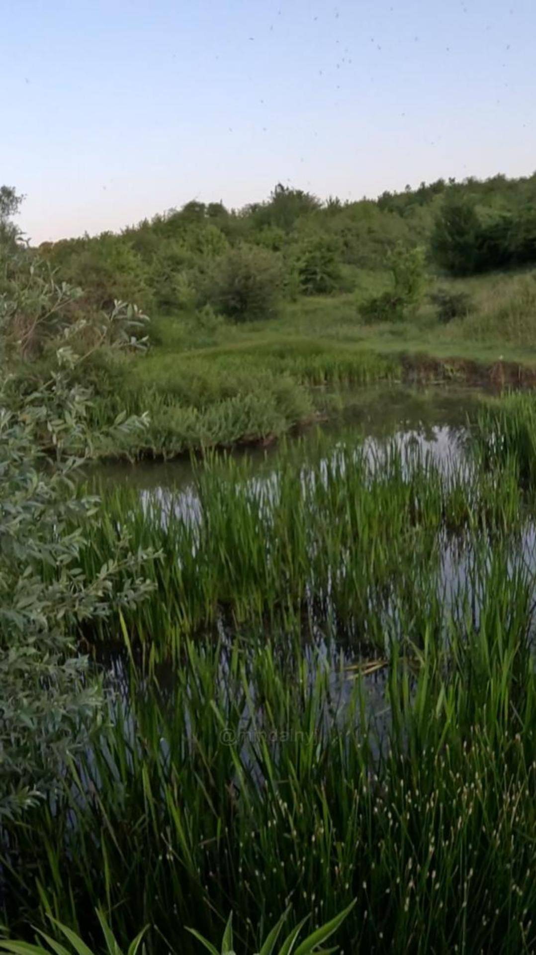 Красивое место