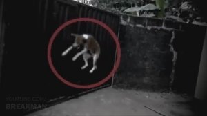 Ошибка Матрицы! Сбой Реального Мира