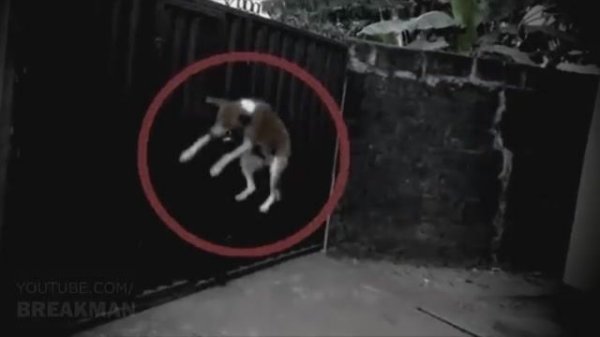 Ошибка Матрицы! Сбой Реального Мира