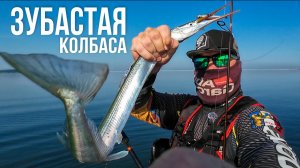 мой ТОП приманок на САРГАНА, ловля САРГАНА на воблеры СТИКБЕЙТЫ,