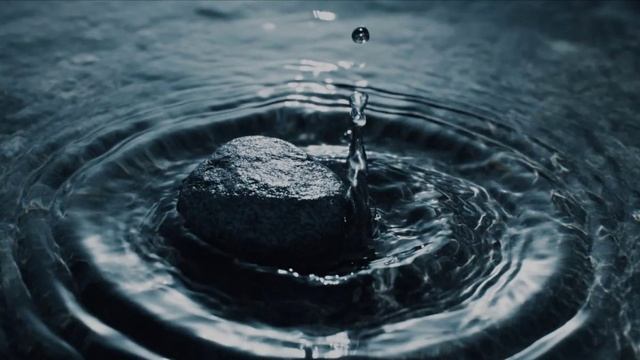 На самом дне