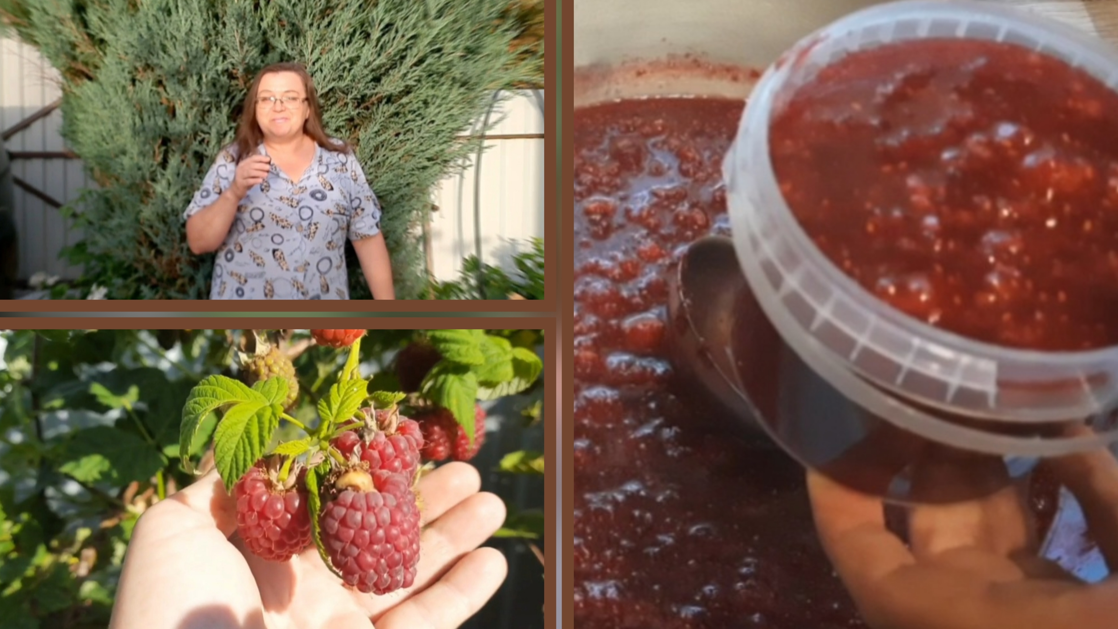 Малина. Уход в июле смотреть онлайн