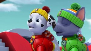 Щенячий патруль | Зума из Щенячьего патруля спасает водных животных! | Nick Jr. Cyrillic