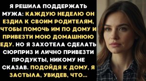 ИСТОРИИ ИЗ ЖИЗНИ: Я РЕШИЛА ПОДДЕРЖАТЬ МУЖА И САМА ПРИВЕЗТИ ПРОДУКТЫ ЕГО РОДИТЕЛЯМ. ПОДОЙДЯ К ДОМУ, Я