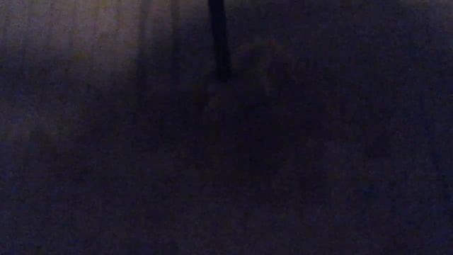 За ник "Молодой Гранит" / завершение