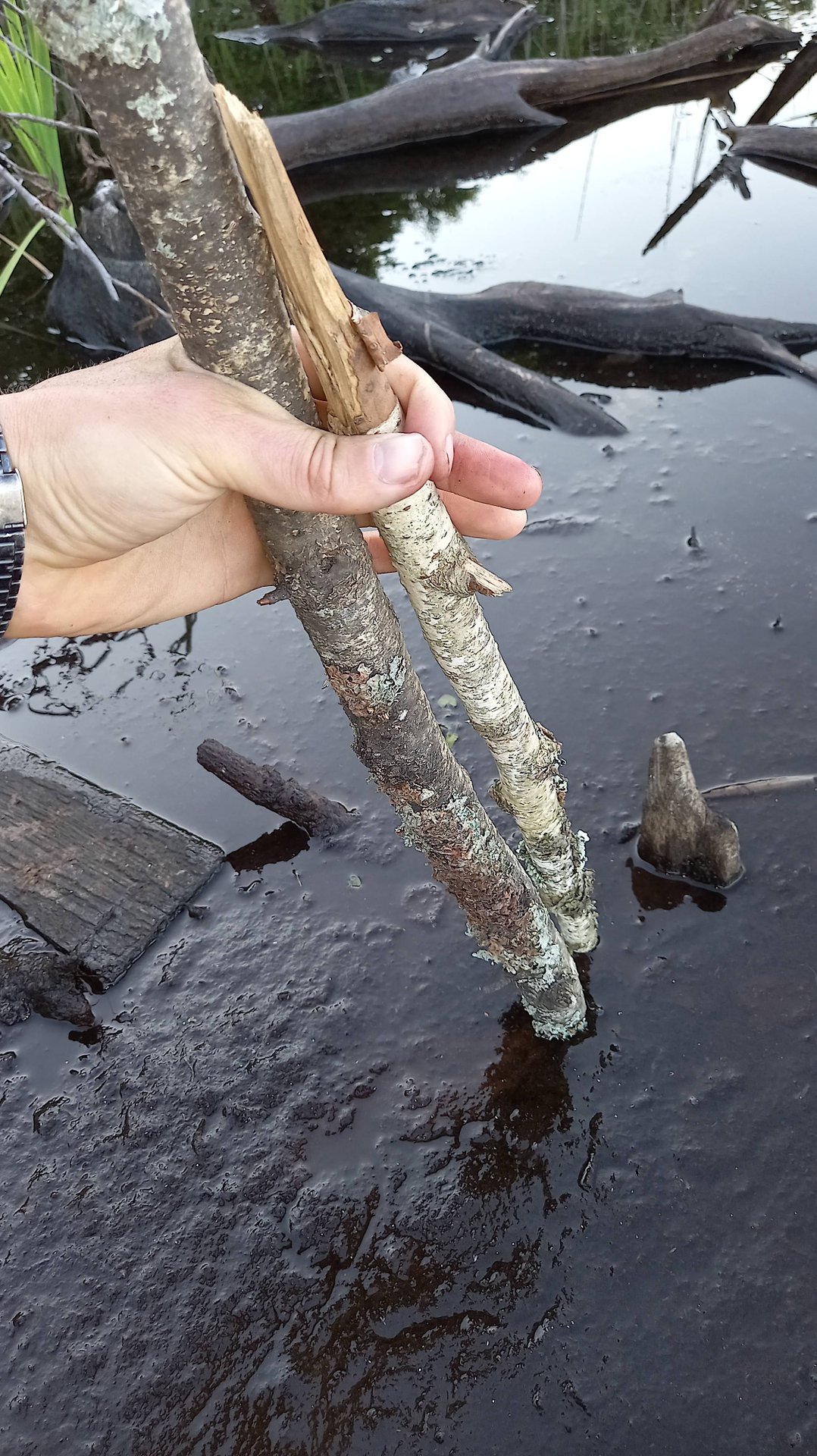 черное озеро смотреть онлайн