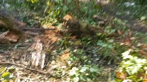 мотоцикл тула испытания продолжаются