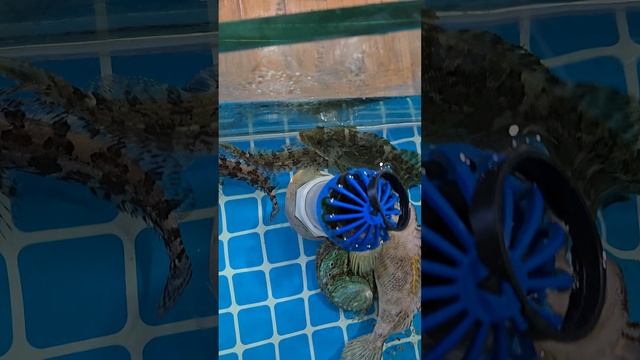 20250625_194542 Прохладное пиво.