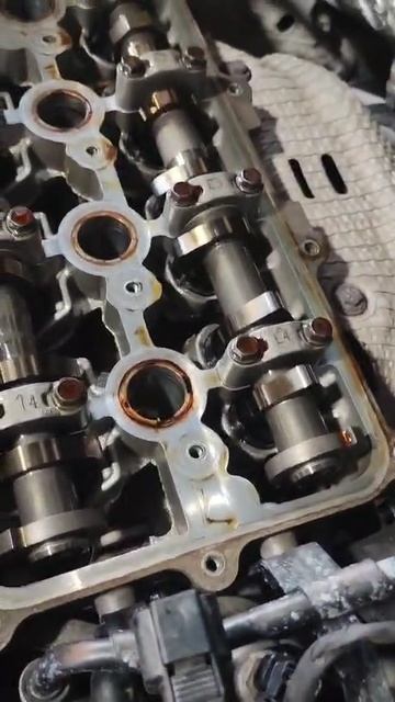 Состояние двигателя на моторном масле Аккора! смотреть онлайн