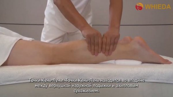 🔴  WHIEDA ｜ Russia ｜ Use of the device Magic FOHERB