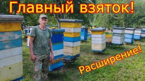 КАРНИКА на ГЛАВНОМ ВЗЯТКЕ ЗАЛИВАЕТ МЁДОМ! Расширение семей!