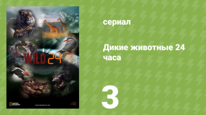Дикие животные 24 часа 1 сезон 3 серия «Тасмания — остров дьявола» (документальный сериал, 2015)