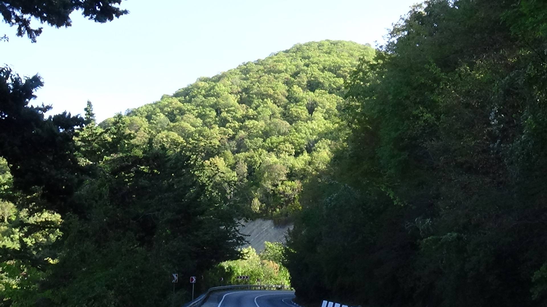 где ночуют чайки на черном море в горах кавказа